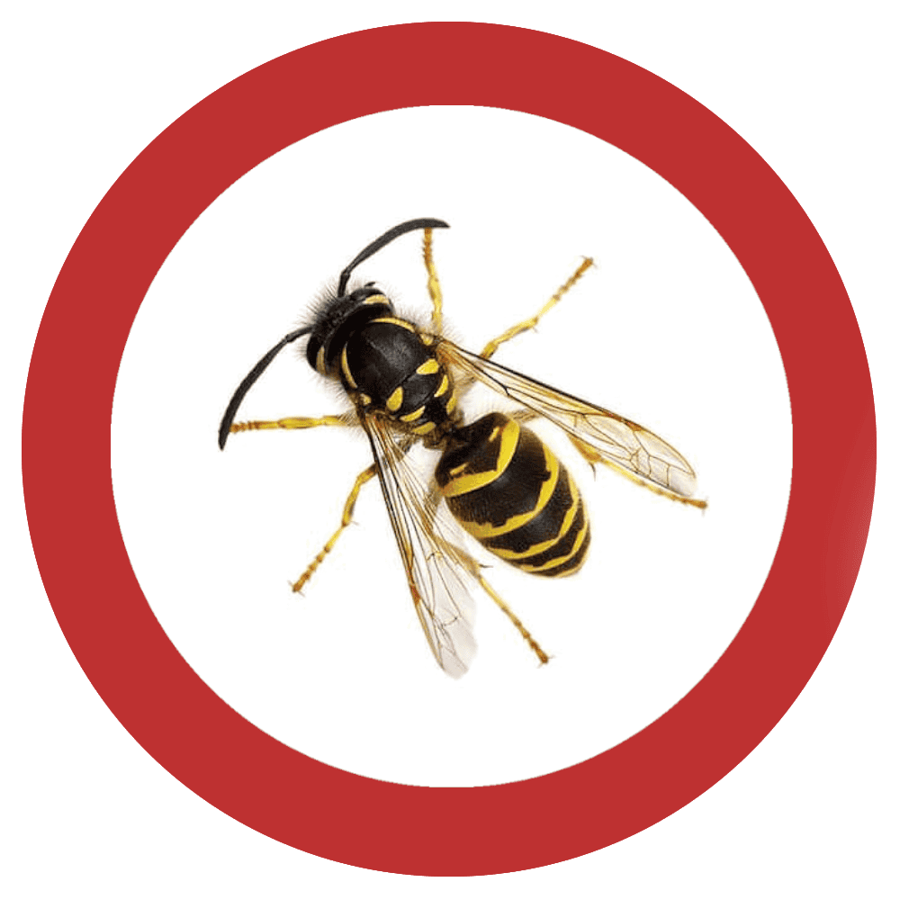 Pestizide