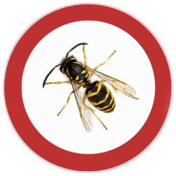 Pestizide