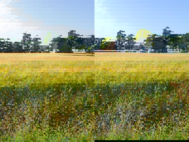 Environment Agriculture Summer Netherlands 810893