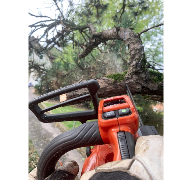 Husqvarna T542i XP Accu-Kettensäge 30 cm - ohne Akku und Ladegerät